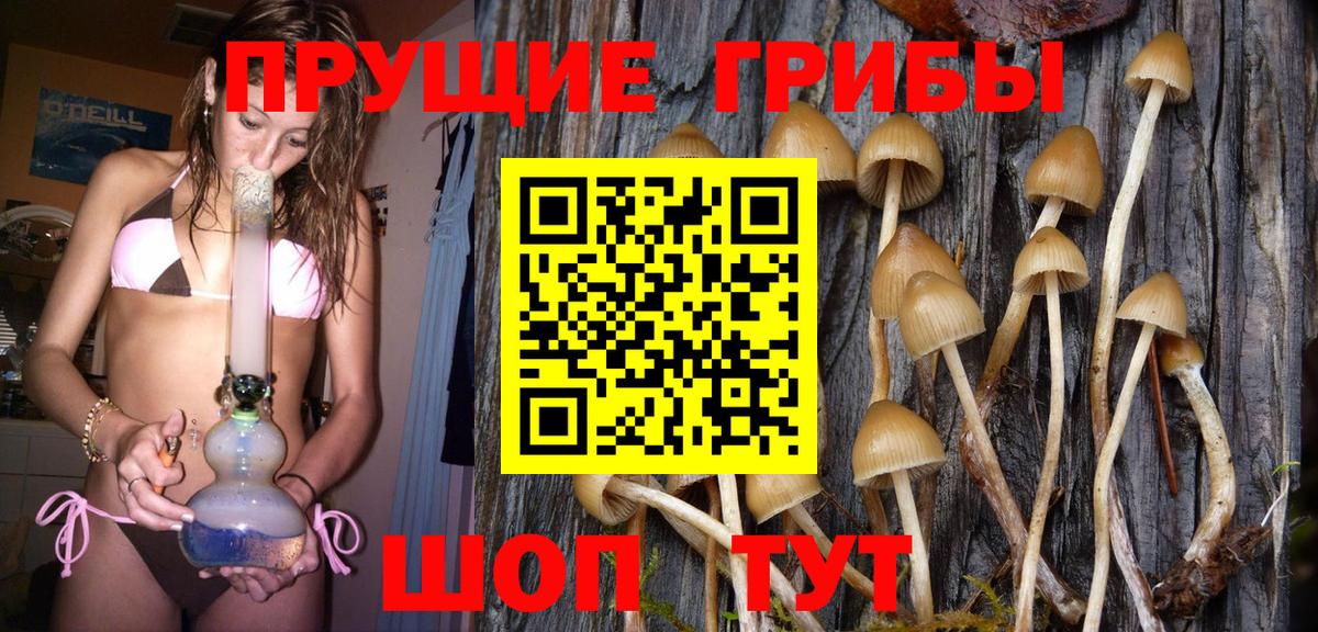 Псилоцибиновые грибы Psilocybe  Вход с VPN  Иркутск  Галлюциногенные грибы Cubensis 