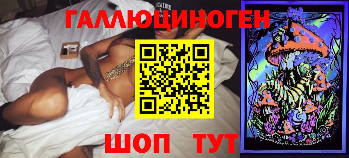 Псилоцибиновые грибы Psilocybe Иркутск